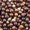 Freshwater Pearl Mix, 1/4 Pound, Brown/Bronze/Deep Gold Colors, Various Sizes, Dyed and Drilled